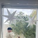 스테이 밤부2 이미지