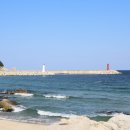 부부횟집 이미지