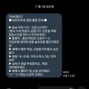 마검포항 | 20251103 마검포항 팀바이트호 갑오징어 출조 후기