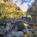 주왕산공원 관리사무소 이미지