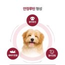 소셜댄스 | 강아지 분리불안, 스트레스 해소 스프레이 | 댕스소셜클럽 지렁이 댄스 스프레이 내돈내산 한달 사용 후기