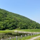 씨유 용인경안천점 | [경기도 차크닉] 힐링 그 자체 &#34;용인 길업습지 차크닉 명소&#34; 후기 | 편의점, 화장실, 방문시간, 자리꿀팁
