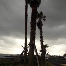 토산리마을회관 이미지