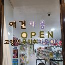 멍이네 이미지