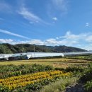 천천면사무소 이미지