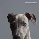 일월로22번길 이미지