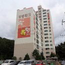 꽃대나리로 Daum카페