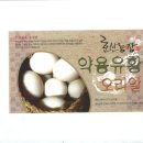 효산농장 Daum카페