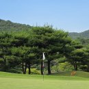 에이원 CC | [양산]에이원CC 라운딩후기
