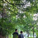 수봉공원 (실내배드민턴장) | [인천 수봉공원] 인천 가볼만한 곳｜수봉공원에 있는 실내 배드민턴장 예약, 이용 후기