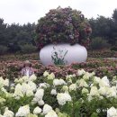 정산영농조합법인 이미지