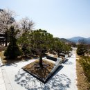 '별그리다 추모공원'을 통해 본 장묘 문화의 변화: 왜 지금 '공원화'가 대세인가?