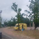 순돌이네펫택시 이미지