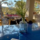 감성커피 홍성대학로점 | 콘크리트 팔레트 통창뷰가 아름다운 혜화역 대학로 감성 대형 카페 솔직 후기