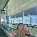 하랑센트 | 공항에서 뮤스카이 타고 사카에역 가는 법 | 포르자호텔 후기 | 나고야 주부공항에서 포르자호텔 가는 방법