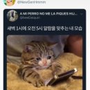 간고