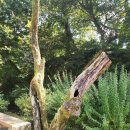 마곡사경내 이미지