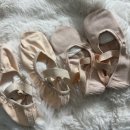 산곳천 | 초보발레 천슈즈 쇼핑: 이발레샵 피팅 후기 (소단사/그리쉬코/카페지오)