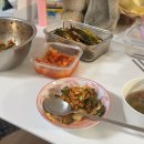 11545-05-15-34 | 3/9 - 3/15 하루에 봄동비빔밥 2번 정도는 먹을 수 있잖아