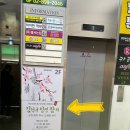 김선규참치