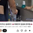켄트홈 | 오리지니크 바스캐디 구매후기 l 스텐칫솔꽂이추천