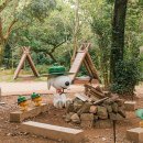 제주청정돼지 어멍 이미지