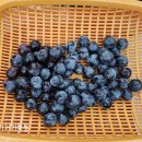 불곡산농원 - 양주시 양주산성로307번길 18 | 불곡산농원