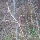 개암농장 이미지