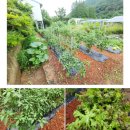 청도강변돌고래펜션 이미지