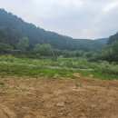 수리산도립공원 매쟁이골(입구) 이미지