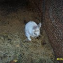 원두골농장 이미지