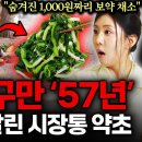 암세포 씨말린 시장약초!!! 이미지