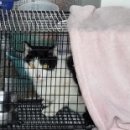 세류농장 이미지