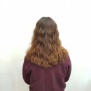 벨루스 헤어 이미지