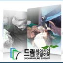 코디헤어라인 이미지