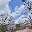 은석캠핑장 이미지