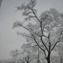 산성체육관 이미지