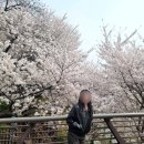 (주)에스와이바이오 | 26년 4월(1)