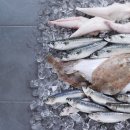 등푸른생선집 이미지