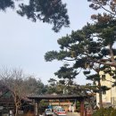 죽양대로2071번길 네이버블로그