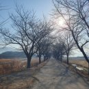 서시천자전거길1 이미지