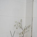 글로우스테이