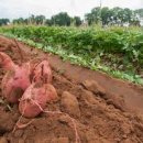 잇츠영어학원 이미지