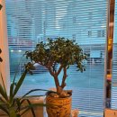 힐링스토리안마원 이미지