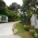 국립운문산자연휴양림 이미지