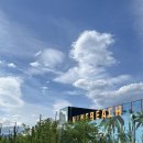 컴온비치호텔 | 동해 망상해수욕장 바다뷰 카페 나인비치37 :: 강원도 동해에서 만나는 캘리포니아 감성 해변카페