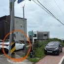 색연필 꽃그림(강좌번호:7) | 제주도 혼자여행 코스 추천 늘보의작업실, 종달리 맛집