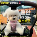 (주)온더마켓 | 용인 애견동반 와인 마켓 주스트코 - 강아지랑 와인 사 온 후기