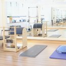 바디다룸 이미지