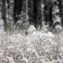 박우물로 20 이미지